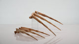 Bone Wolverine Claws Costume Prop