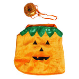 Pumpkin Pet Costume