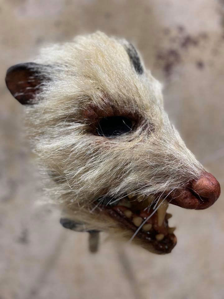 Roadkill