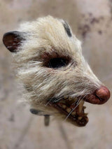 Roadkill