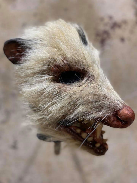 Roadkill