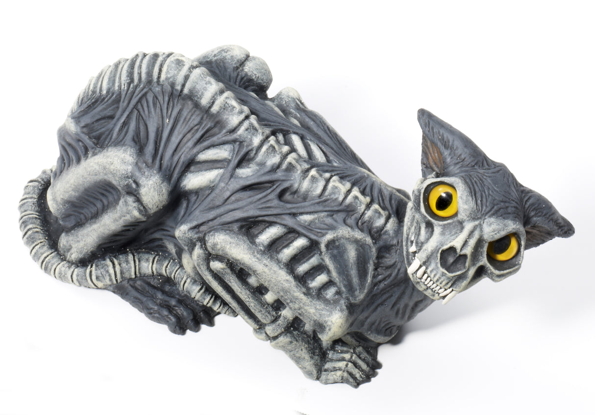 Zombie Cat