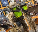 Swamp Stick
