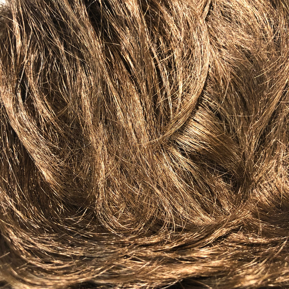 Kris Wig